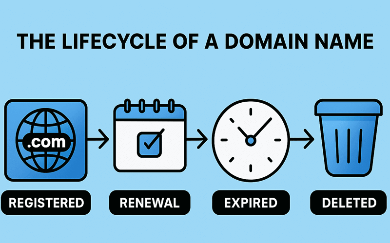 Expired Domain Names Life Cycle